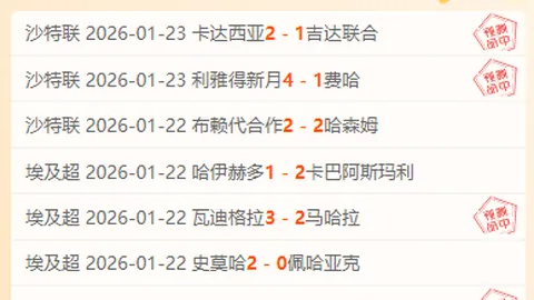 博洛尼亚对布兰，若昂马里奥助力胜利分析